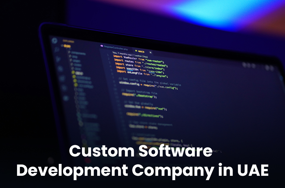 Leading Custom Software Development Company in UAE